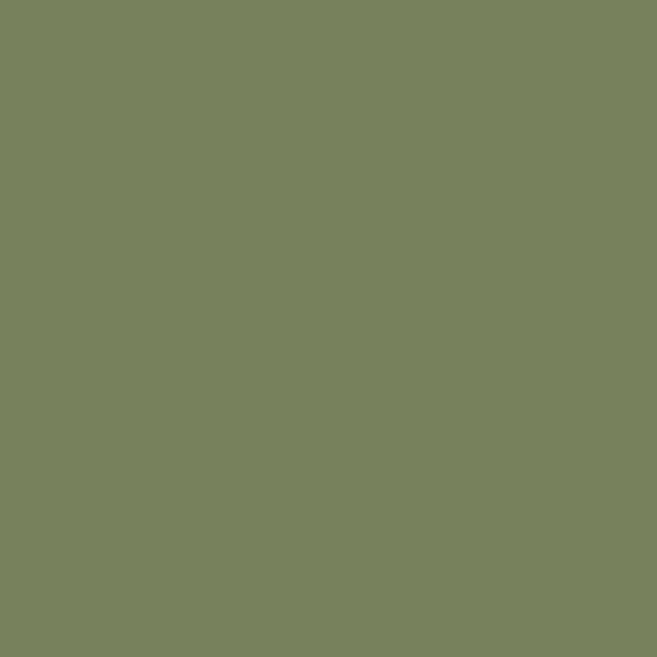 PT – Sunset Evergreen